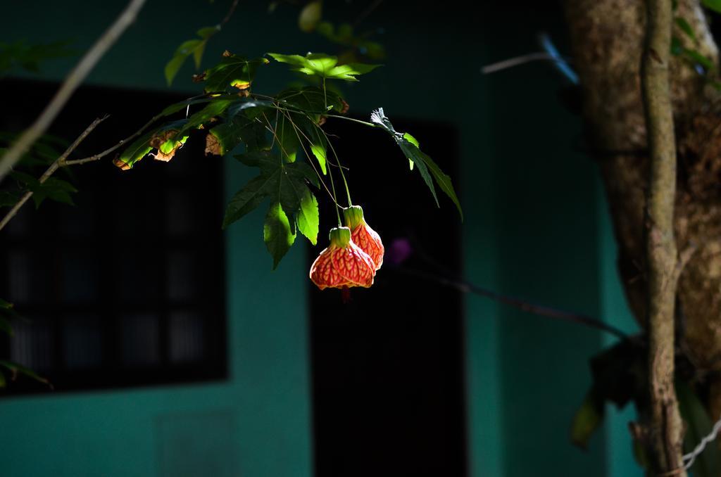 Condomínio Higa Peruíbe Exterior foto